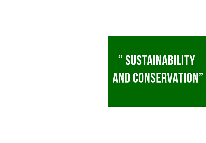 sustainable_printing2